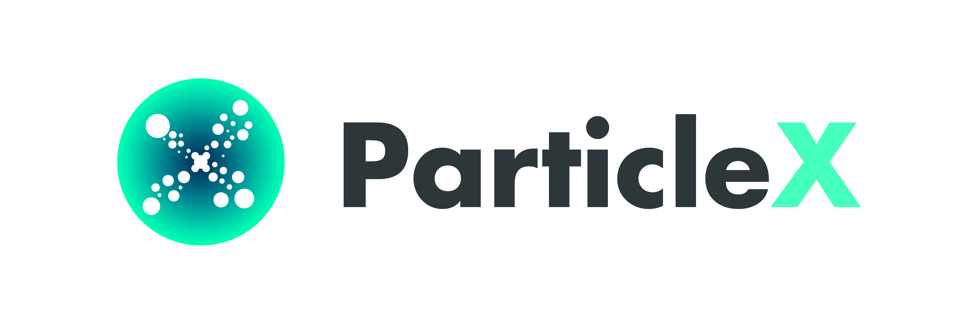 ParticleX 사진