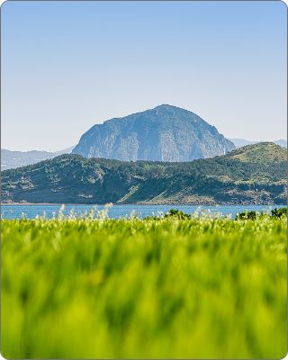 Jeju