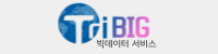 TriBIG 빅데이터 서비스