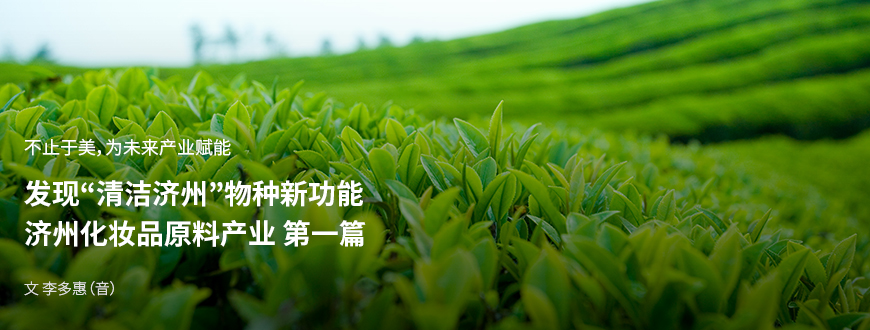 不止于美,为未来产业赋能 发现“清洁济州”物种新功能 济州化妆品原料产业 第一篇 / 文:李多惠(音)