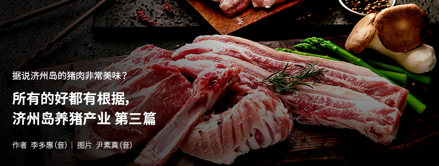 据说济州岛的猪肉非常美味? 所有的好都有根据,济州岛养猪产业 第三篇 / 作者 李多惠(音) / 图片 尹素真(音)