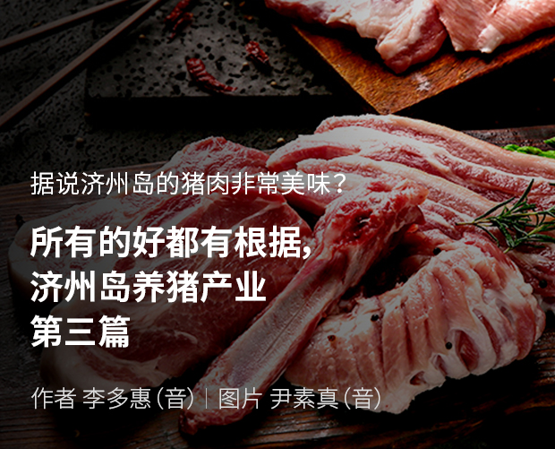 据说济州岛的猪肉非常美味? 所有的好都有根据,济州岛养猪产业 第三篇 / 作者 李多惠(音) / 图片 尹素真(音)