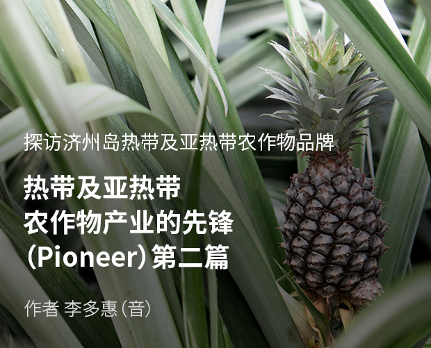 探访济州岛热带及亚热带农作物品牌 热带及亚热带农作物产业的先锋(Pioneer) 第二篇 / 作者 李多惠(音)