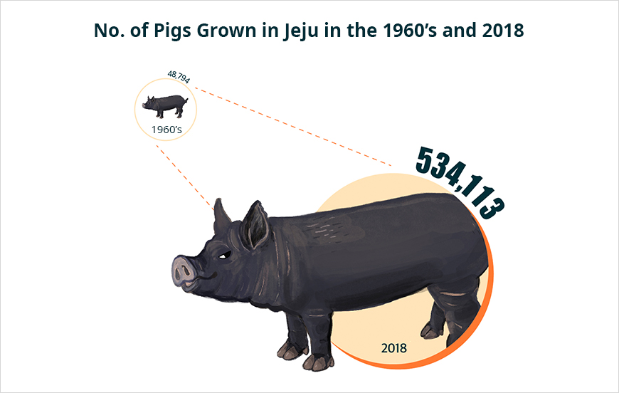 No. of Pigs Grown in Jeju in the 1960’s and 2018