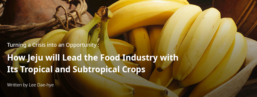 Turning a Crisis into an Opportunity: How Jeju will Lead the Food Industry with Its Tropical and Subtropical Crops / By Lee Da-hye