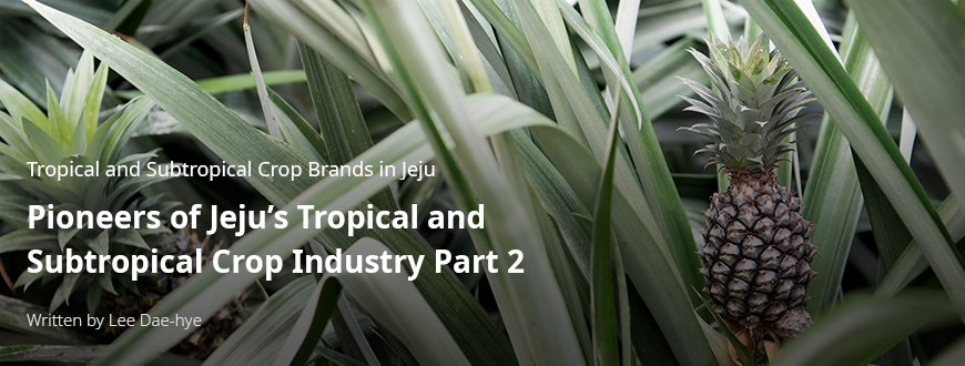 Tropical and Subtropical Crop Brands in Jeju Pioneers of Jeju’s Tropical and Subtropical Crop Industry Part 1 / By Lee Da-hye
