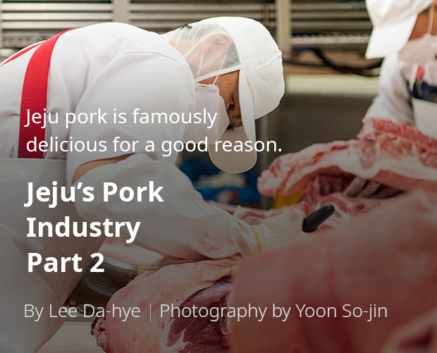 Jeju pork is famously delicious for a good reason. Jeju’s Pork Industry Part 2 / By Lee Da-hye / Photography by Yun So-jin