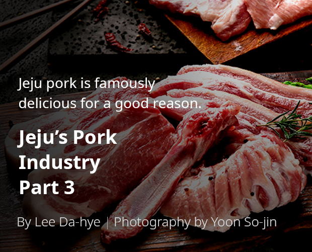 Jeju pork is famously delicious for a good reason. Jeju’s Pork Industry Part 3 / By Lee Da-hye / Photography by Yun So-jin