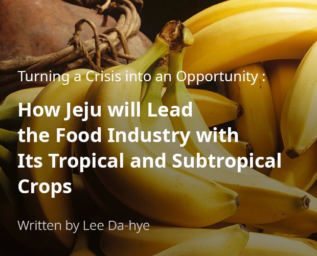 Turning a Crisis into an Opportunity: How Jeju will Lead the Food Industry with Its Tropical and Subtropical Crops / By Lee Da-hye