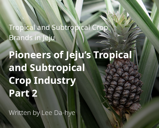 Tropical and Subtropical Crop Brands in Jeju Pioneers of Jeju’s Tropical and Subtropical Crop Industry Part 2 / By Lee Da-hye