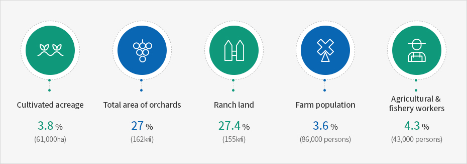 Cultivated acreage:3.8%(61,000ha), Total area of orchards:27%(162㎢), Ranch land:27.4%(155㎢), Farm population:3.6%(86,000 persons), Agricultural & fishery workers:4.3%(43,000 persons)