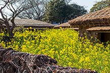 Traditional Lodging