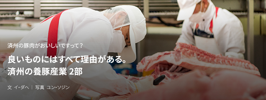 済州の豚肉がおいしいですって？ 良いものにはすべて理由がある。済州の養豚産業 2部 / 文 イ・ダヘ/写真 ユン・ソジン