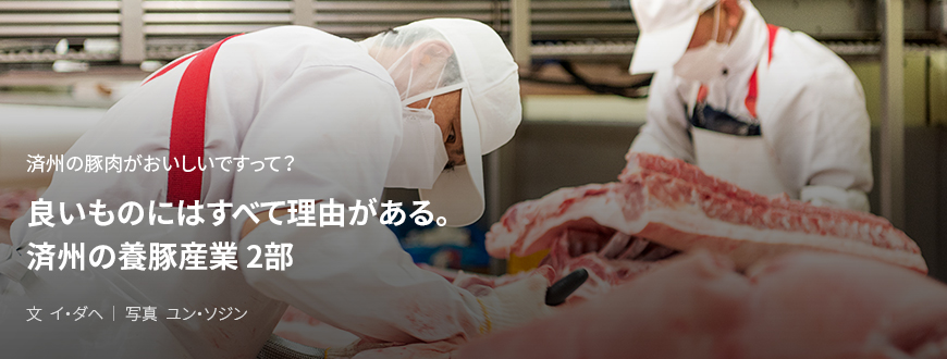 済州の豚肉がおいしいですって? 良いものにはすべて理由がある。済州の養豚産業 2部 / 文 イ・ダヘ/写真 ユン・ソジン