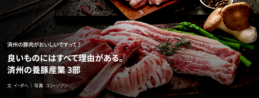 済州の豚肉がおいしいですって？ 良いものにはすべて理由がある。済州の養豚産業 3部 / 文 イ・ダヘ/写真 ユン・ソジン
