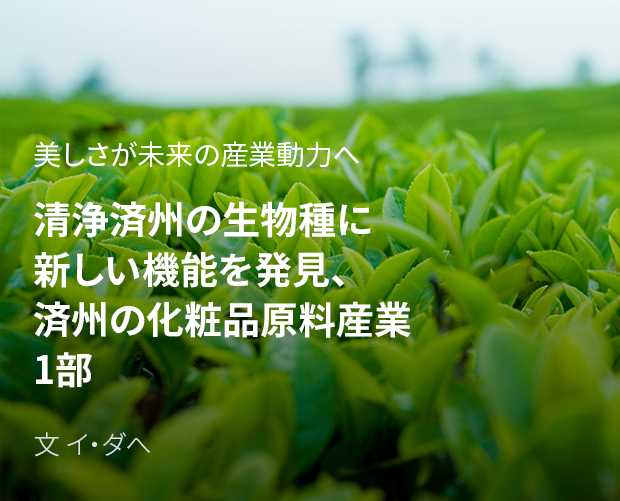 美しさが未来の産業動力へ 清浄済州の生物種に新しい機能を発見、 済州の化粧品原料産業 1部 / 文 イ・ダへ