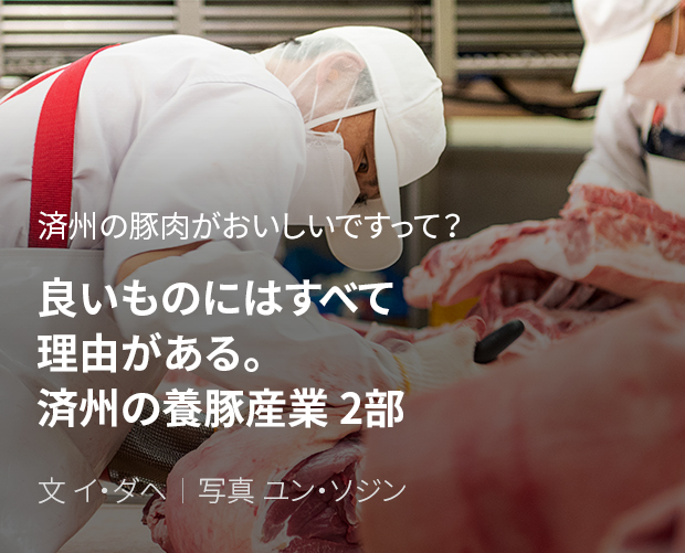済州の豚肉がおいしいですって? 良いものにはすべて理由がある。済州の養豚産業 2部 / 文 イ・ダヘ/写真 ユン・ソジン