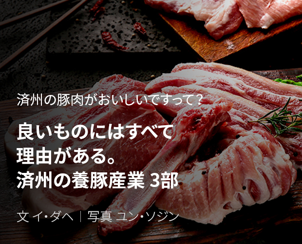 済州の豚肉がおいしいですって？ 良いものにはすべて理由がある。済州の養豚産業 3部 / 文 イ・ダヘ/写真 ユン・ソジン