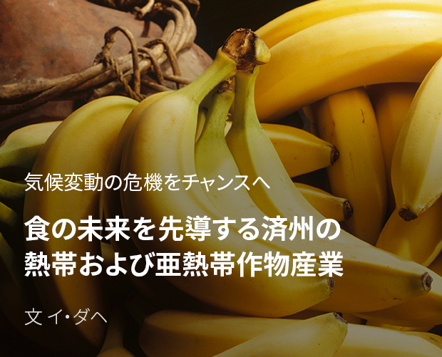 気候変動の危機をチャンスへ 食の未来を先導する済州の熱帯および亜熱帯作物産業 / 文 イ・ダヘ