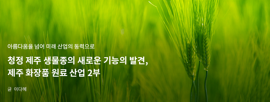 아름다움을 넘어 미래 산업의 동력으로 청정 제주 생물종의 새로운 기능의 발견, 제주 화장품 원료 산업 2부 / 글:이다혜