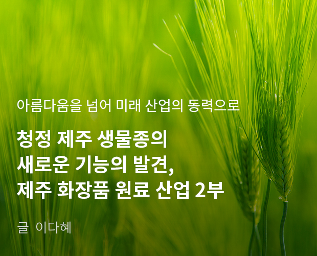 아름다움을 넘어 미래 산업의 동력으로 청정 제주 생물종의 새로운 기능의 발견, 제주 화장품 원료 산업 2부 / 글:이다혜