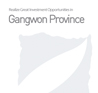 Realize Great Investment Opportunities in Gangwon Province image