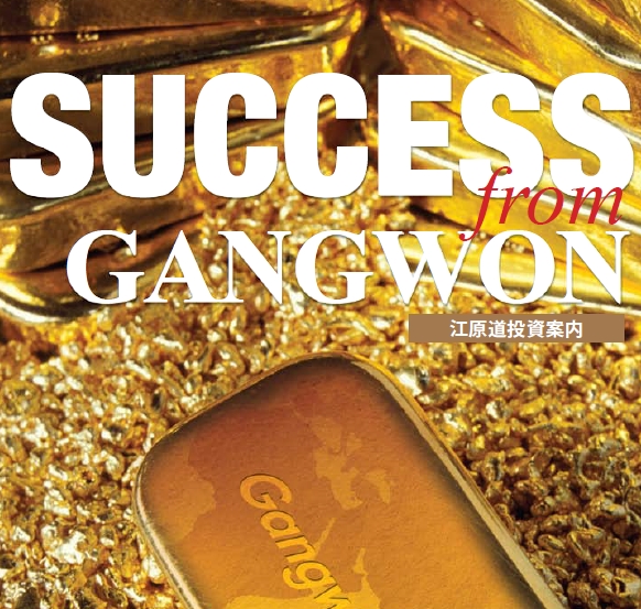 Success from Gangwon : 江原道投資案内 画像