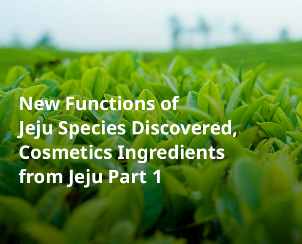 Cosmetics Ingredients from Jeju Part 1 image
