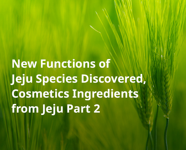 Cosmetics Ingredients from Jeju Part 2 image