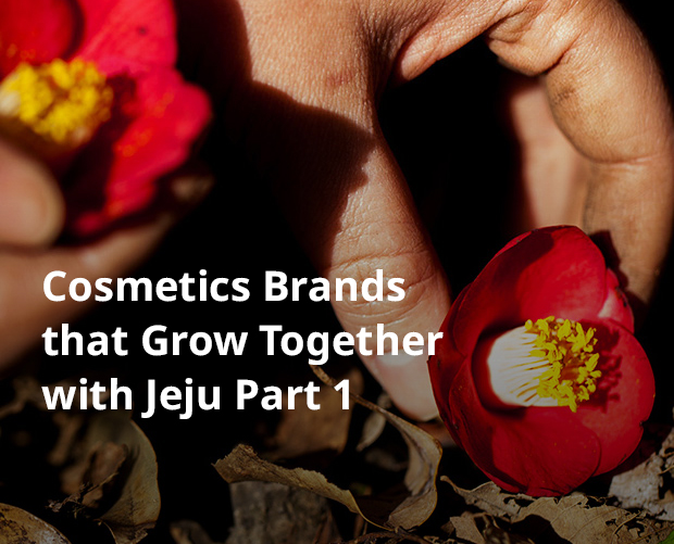 Cosmetics Brands that Grow Together with Jeju Part 1 image