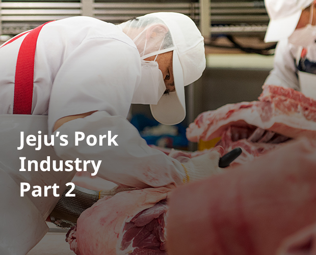 Jeju pork is famously delicious for a good reason. Jeju’s Pork Industry Part 2 image