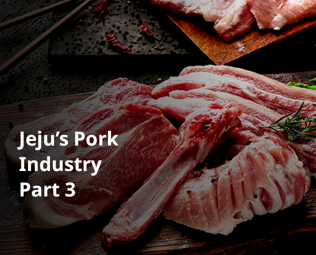 Jeju pork is famously delicious for a good reason. Jeju’s Pork Industry Part 3 image