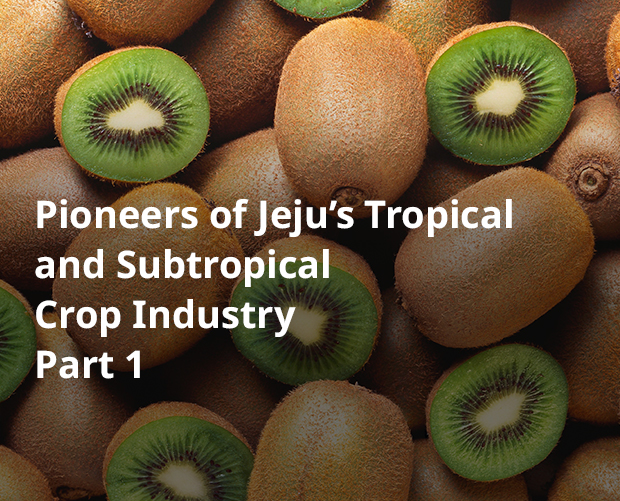 Pioneers of Jeju’s Tropical and Subtropical Crop Industry Part 1 image
