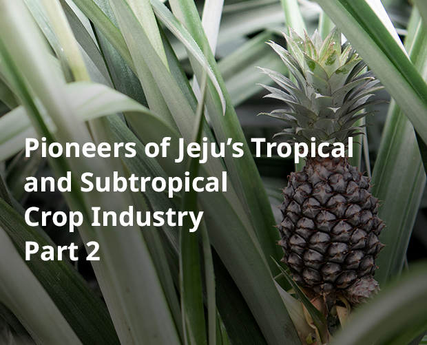 Pioneers of Jeju’s Tropical and Subtropical Crop Industry Part 2 image