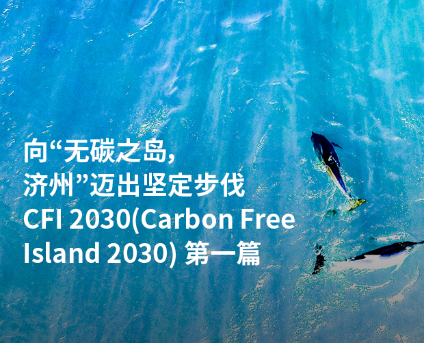 CFI 2030(Carbon Free Island 2030) 第一篇 图片