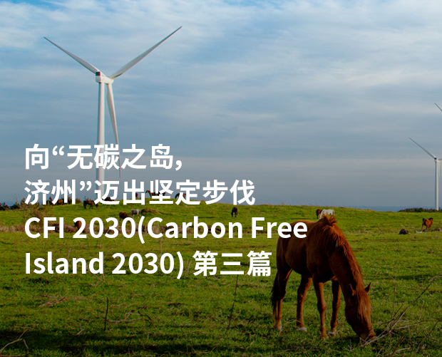 CFI 2030(Carbon Free Island 2030) 第三篇 图片