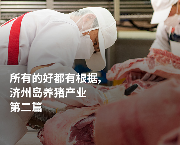 所有的好都有根据，济州岛养猪产业 第二篇 图片