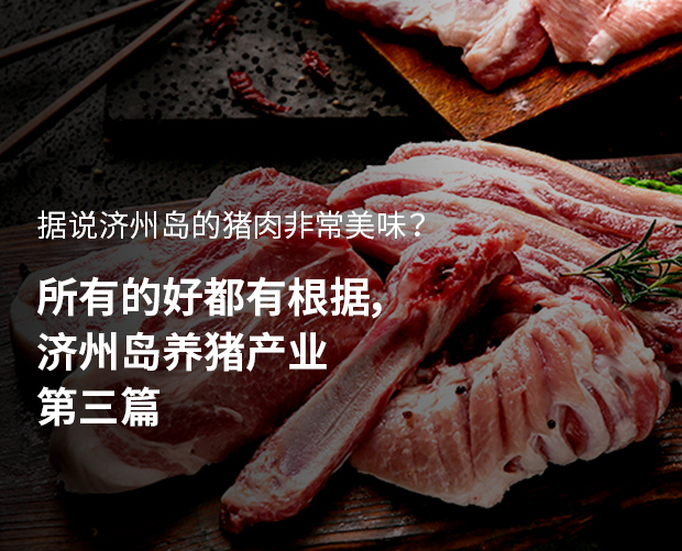 所有的好都有根据，济州岛养猪产业 第三篇 图片
