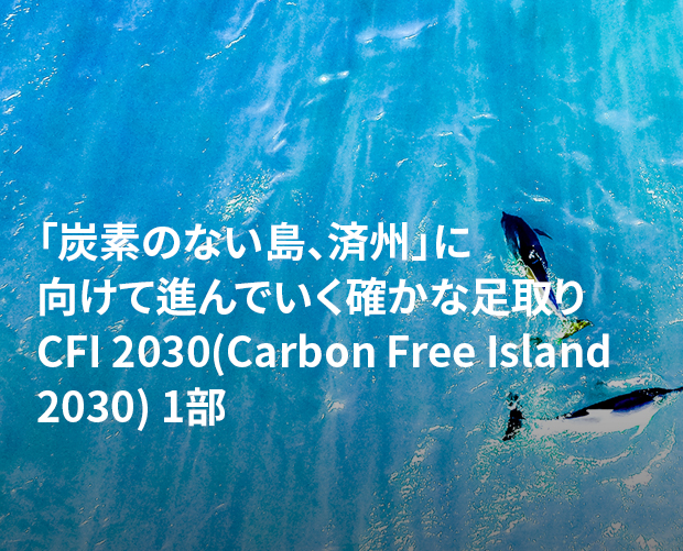 CFI 2030(Carbon Free Island 2030) 1部 画像