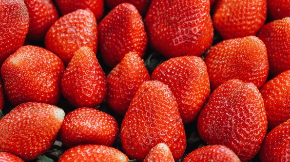 在口中绽放的红色芳香，韩国草莓人气景点6处 이미지