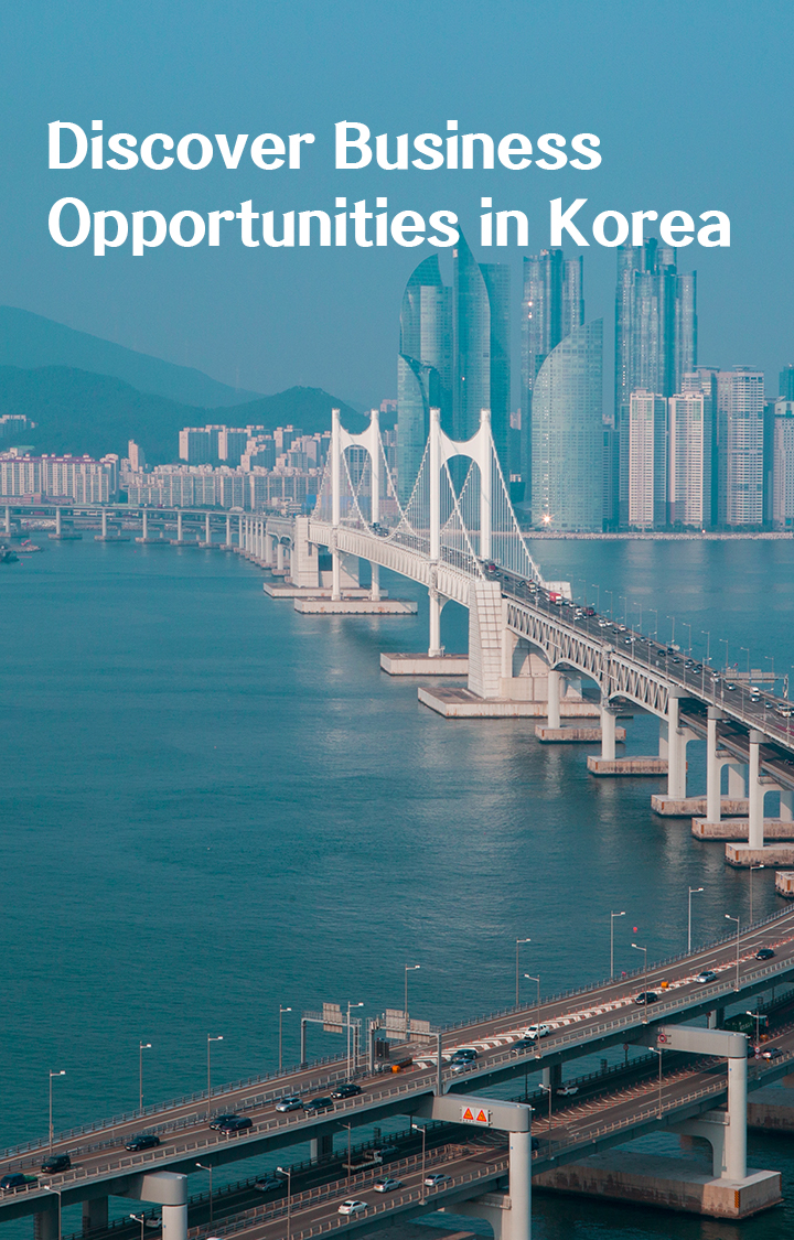 Discover Business Opportunities in Korea