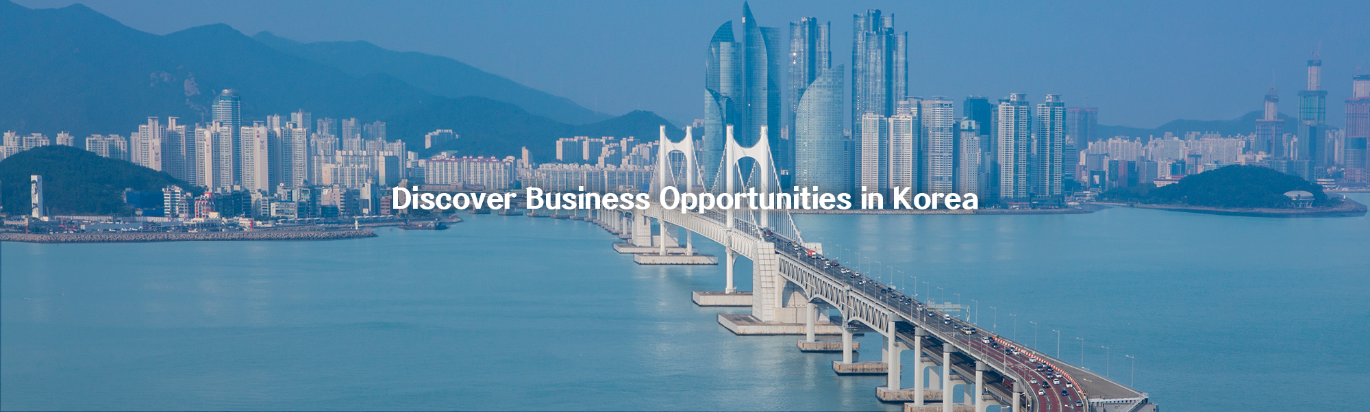 Discover Business Opportunities in Korea