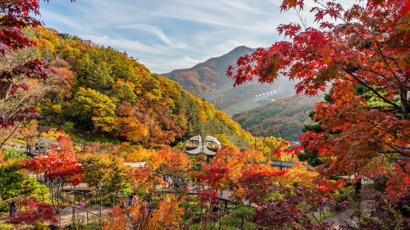 Korea’s BEST 5 Fall Foliage Destinations   이미지