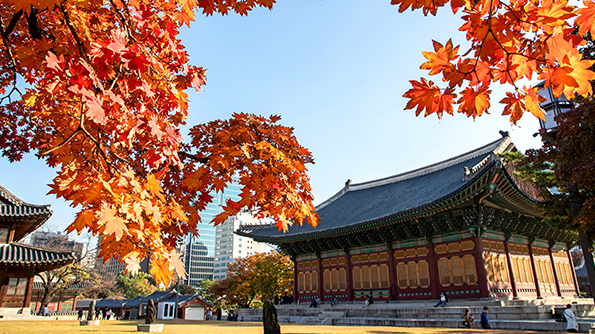 古宮に公園、漢江。秋のソウルは楽しさいっぱい！ソウル・紅葉の名所 BEST7   이미지